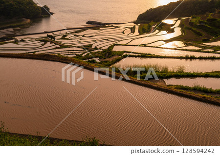 Nagasaki Prefecture: Tsuchiya rice terraces at dusk - a pristine Japanese landscape 128594242
