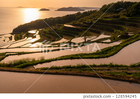 Nagasaki Prefecture: Tsuchiya rice terraces at dusk - a pristine Japanese landscape Nagasaki Prefecture: Tsuchiya rice terraces at dusk - a pristine Japanese landscape 128594245