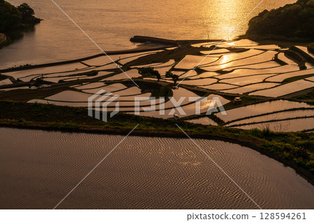 Nagasaki Prefecture: Tsuchiya rice terraces at dusk - a pristine Japanese landscape Nagasaki Prefecture: Tsuchiya rice terraces at dusk - a pristine Japanese landscape 128594261