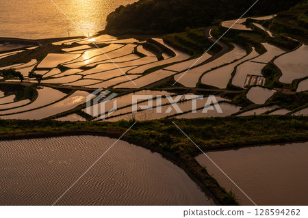 Nagasaki Prefecture: Tsuchiya rice terraces at dusk - a pristine Japanese landscape Nagasaki Prefecture: Tsuchiya rice terraces at dusk - a pristine Japanese landscape 128594262