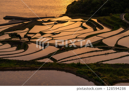 長崎縣：黃昏時的土屋梯田－原始的日本風景 128594286