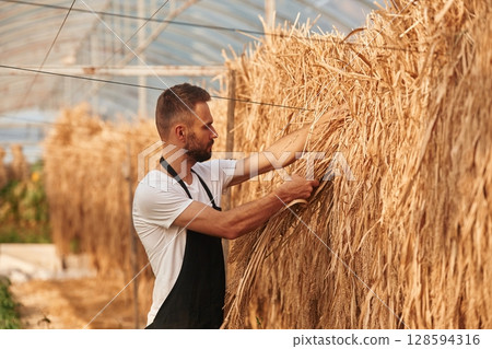 Looking at dried plants that are hanging. Young gardener is in the greenhouse Looking at dried plants that are hanging. Young gardener is in the greenhouse 128594316