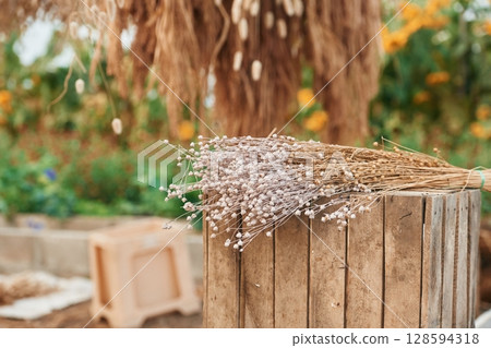 Dried flax is lying down on a wooden box in the greenhouse 128594318