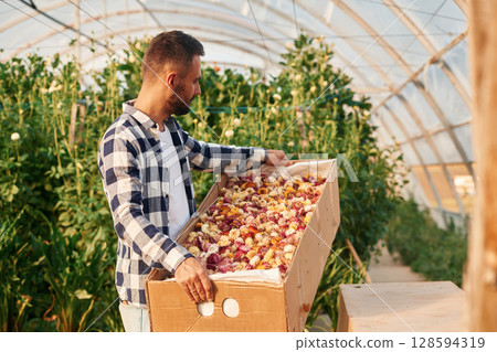 Wooden box with dried flowers. Young gardener is in the greenhouse Wooden box with dried flowers. Young gardener is in the greenhouse 128594319