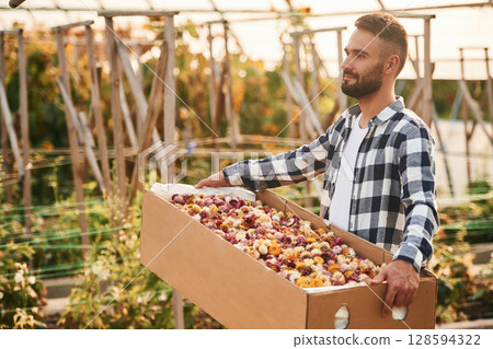 Wooden box with dried flowers. Young gardener is in the greenhouse 128594322