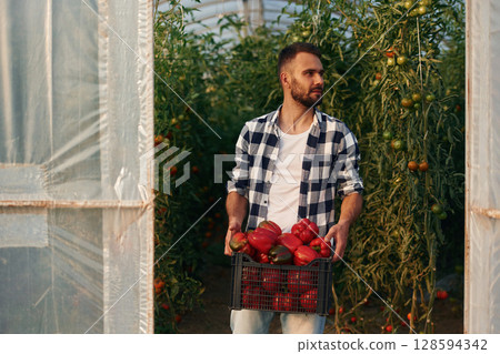 Holding peppers. Beautiful young man is in the garden Holding peppers. Beautiful young man is in the garden 128594342
