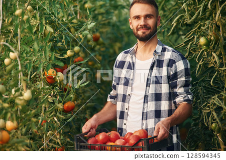Fresh tomatoes. Beautiful young man is in the garden 128594345