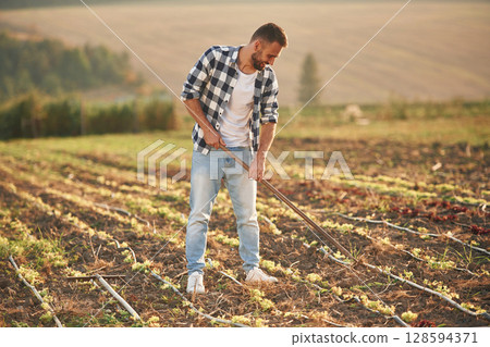 Holding the hoe. Man is on the agricultural field, conception of work and harvest Holding the hoe. Man is on the agricultural field, conception of work and harvest 128594371