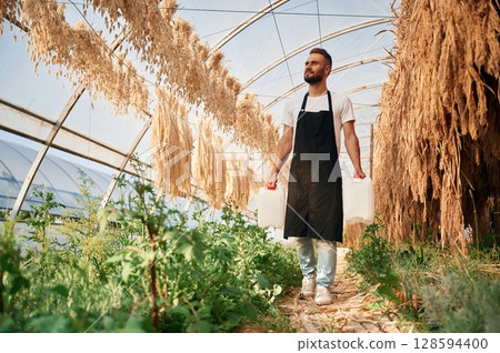 Looking at dried plants that are hanging. Young gardener is in the greenhouse Looking at dried plants that are hanging. Young gardener is in the greenhouse 128594400