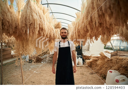 Many of the dried plants is hanging. Young gardener is in the greenhouse 128594403