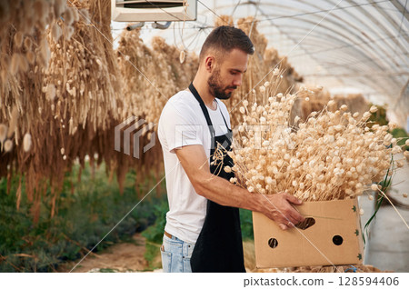 Holding dried flax. Young gardener is in the greenhouse Holding dried flax. Young gardener is in the greenhouse 128594406