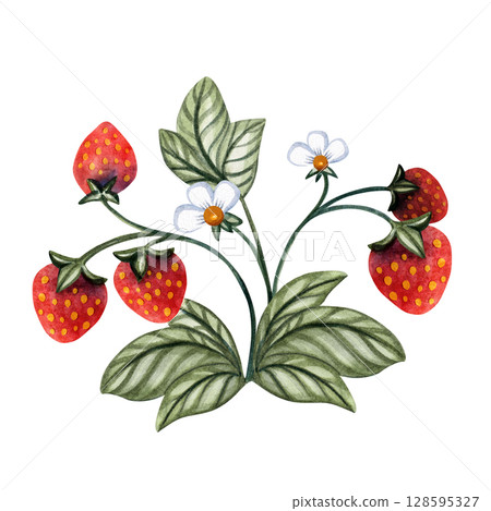 Watercolor wild strawberry branch botanical illustration in Russian fairytale children style, hand painted design for baby decor, invitations, packaging, cards, stickers and kids projects Watercolor wild strawberry branch botanical illustration in Russian fairytale children style, hand painted design for baby decor, invitations, packaging, cards, stickers and kids projects 128595327