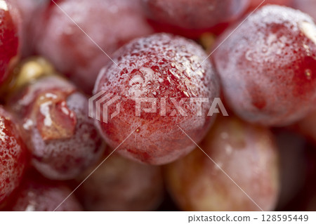 closeup grapes after washing the berries, clean wet grapes safe for eating closeup grapes after washing the berries, clean wet grapes safe for eating 128595449