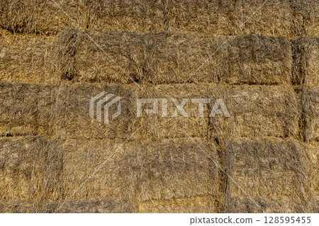 rectangular stacks of straw for storage ,stacked one on one stack of wheat straw after grain harvest 128595455