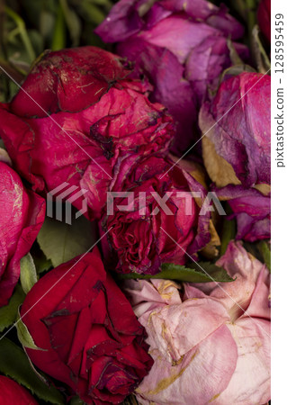 colorful red dry roses in a bouquet, a dry bouquet of red roses on the table colorful red dry roses in a bouquet, a dry bouquet of red roses on the table 128595459