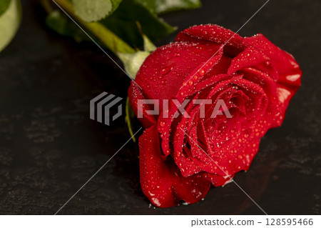 one red rose covered with water on a black wet board, a beautiful fresh macro rose flower on a black slate in drops of water one red rose covered with water on a black wet board, a beautiful fresh macro rose flower on a black slate in drops of water 128595466