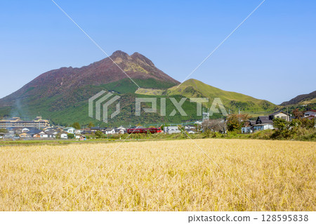 由布院由布岳和田園風光 由布院由布岳和田園風光 128595838
