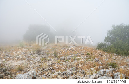 Rocky Landscape Enveloped in Dense Mist During a Calm Morning 128596096