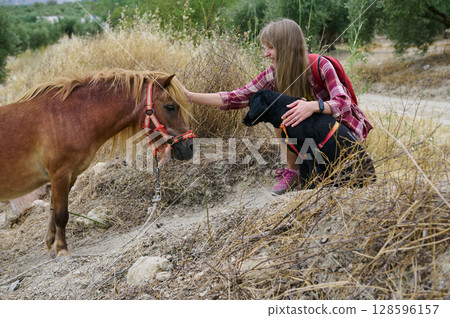Woman Interacting with Miniature Horse and Black Dog in Nature Setting 128596157