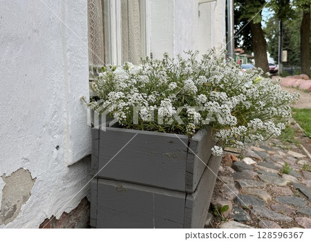 A planter with white flowers stands outside the building on a summer day. High quality photo 128596367