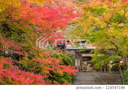 Autumn leaves of Taikoji Temple Autumn leaves of Taikoji Temple 128597196