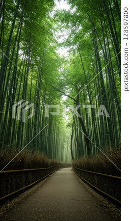 Walking path through the scenic Arashiyama bamboo grove forest in Kyoto, Japan on a calm day 128597800