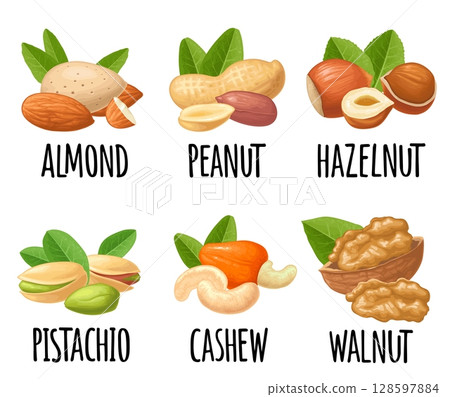 Set hazelnut, peanut, almond, cashew, pistachio, walnut. Vector realistic icon nut 128597884
