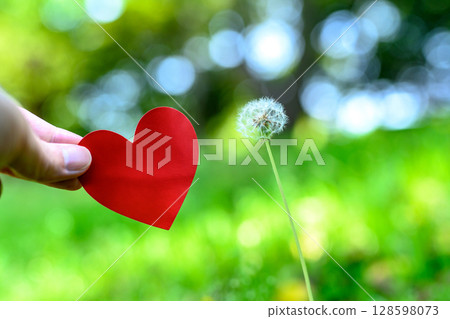Hands holding a heart in outdoor nature Love Encounter Background material Background Morning color 128598073