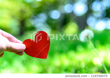 Hands holding a heart in outdoor nature Love Encounter Background material Background Morning color 128598079