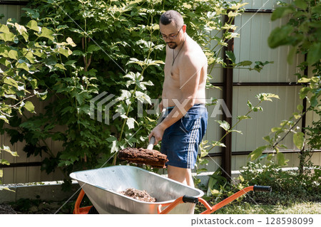 Shirtless Man Gardening with Wheelbarrow Outdoors. Lush Green Foliage, Backyard Scene, Summer, Brown Soil, Rustic Fence, Natural Light, Casual Style 128598099