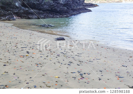 Yagatajima coast non-fan shell Yagatajima coast non-fan shell 128598188