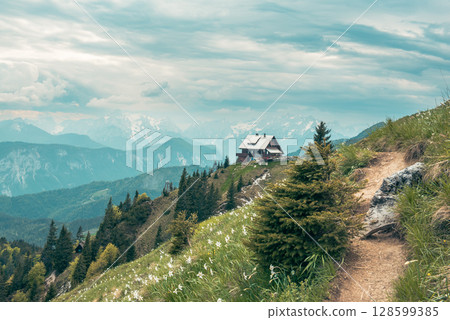 Mountain landscape with daffodil narcissus flowers and shelter house on Golica, Slovenia, at spring 128599385