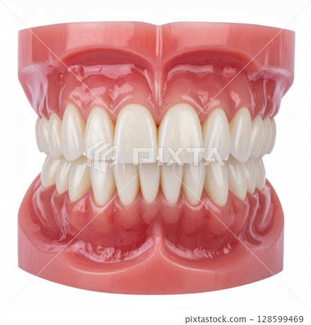 Healthy White Teeth Model on Pink Gums 128599469