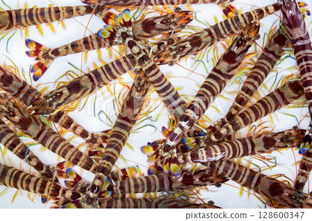 Car shrimp Car shrimp 128600347