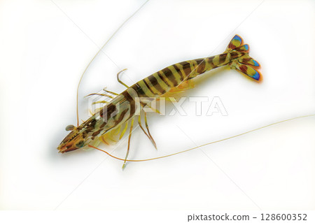 Car shrimp Car shrimp 128600352