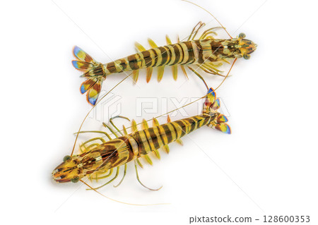 Car shrimp Car shrimp 128600353