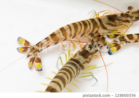 Car shrimp Car shrimp 128600356