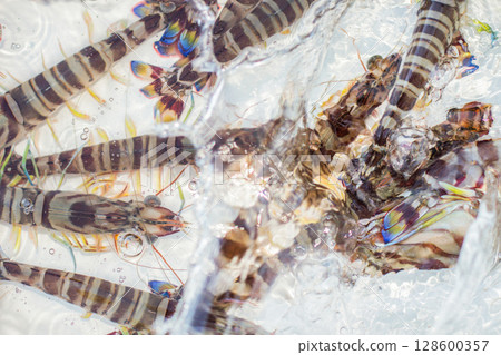 Car shrimp Car shrimp 128600357