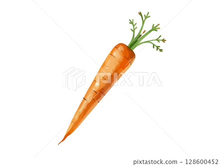 Watercolor vector illustration of a carrot. 128600452