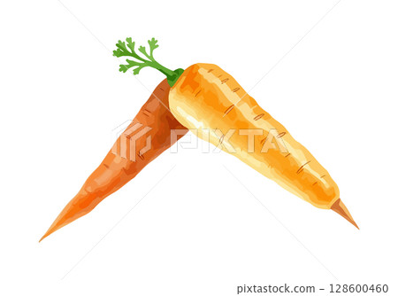 Watercolor vector illustration of a carrot. 128600460