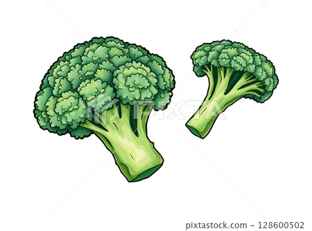 Watercolor vector illustration of a broccoli. 128600502