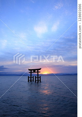 滋賀縣琵琶湖上的鳥居，白須神社的日出 128601666