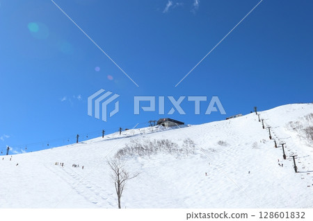 八方尾根滑雪場 Usagidaira Mogul 陡坡 八方尾根滑雪場 Usagidaira Mogul 陡坡 128601832