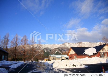 Snow-covered Metasequoia Tree Line in Makino, Shiga Prefecture 128603073