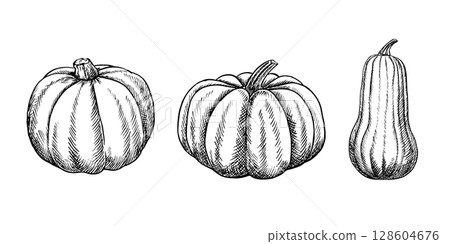 A set of pumpkins. Vector graphics depicting the autumn season. Black and white hand-drawn illustration. On a white background. Great for stickers, banners, posters and packaging, postcards, labels. A set of pumpkins. Vector graphics depicting the autumn season. Black and white hand-drawn illustration. On a white background. Great for stickers, banners, posters and packaging, postcards, labels. 128604676
