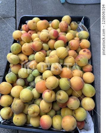 梅花收穫 128606194