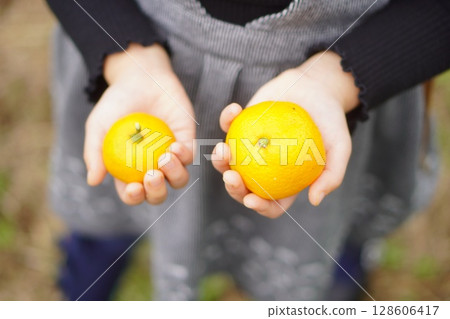 This photo captures small hands holding different sized mandarins. It captures a child's perspective and a glimpse into simple everyday life. This photo captures small hands holding different sized mandarins. It captures a child's perspective and a glimpse into simple everyday life. 128606417