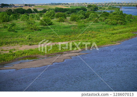 利根川：昭和橋下游的初夏風景 128607013