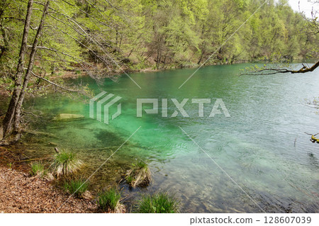 splendid green lake in Plitvice Lakes National Park. Waterfalls, lakes and flora in Croatia 128607039