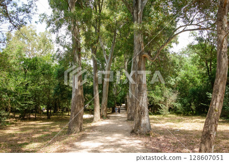 Butrint archaeological site, ancient Greek polis and later Roman city in Ksamil, Albania. Unesco World Heritage Site Butrint archaeological site, ancient Greek polis and later Roman city in Ksamil, Albania. Unesco World Heritage Site 128607051